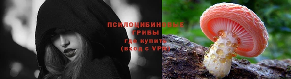 a pvp Саяногорск