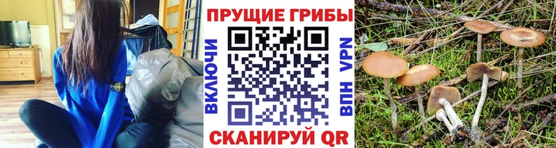 Псилоцибиновые грибы ЛСД Железногорск-Илимский